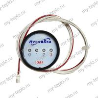 Манометр для котла Hydrosta HSG-300 SD (manomHSG300SD)